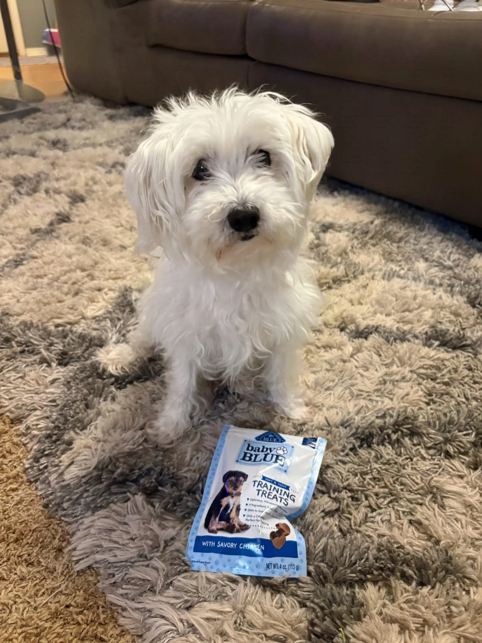 soft bite size dog training treats for medium and large dogs in small bag